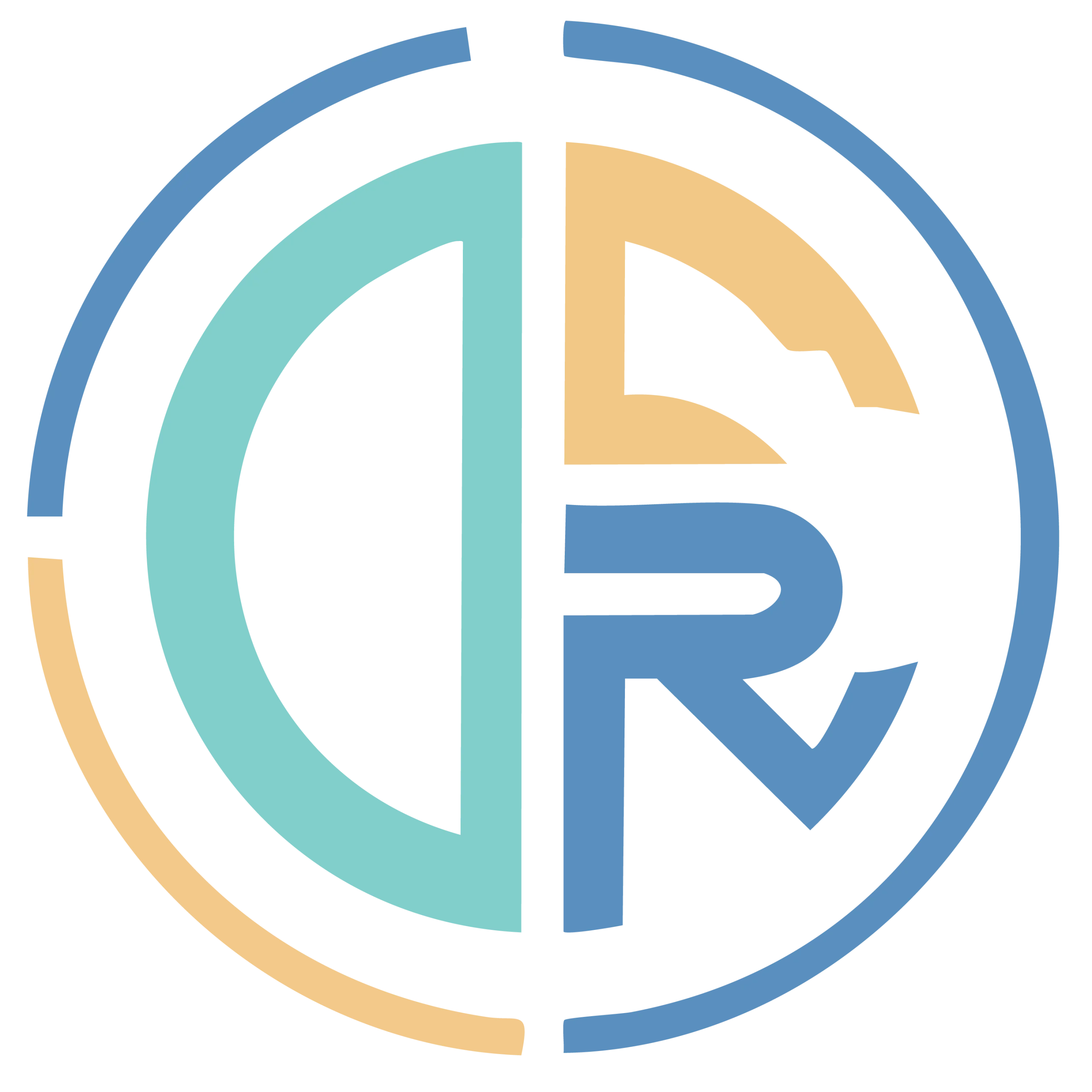 Logo du site - DR création crochet et tricot